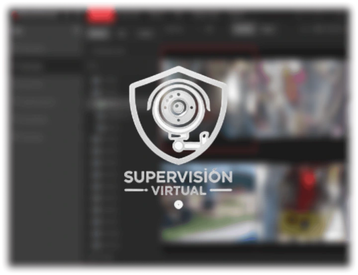 SkanVision